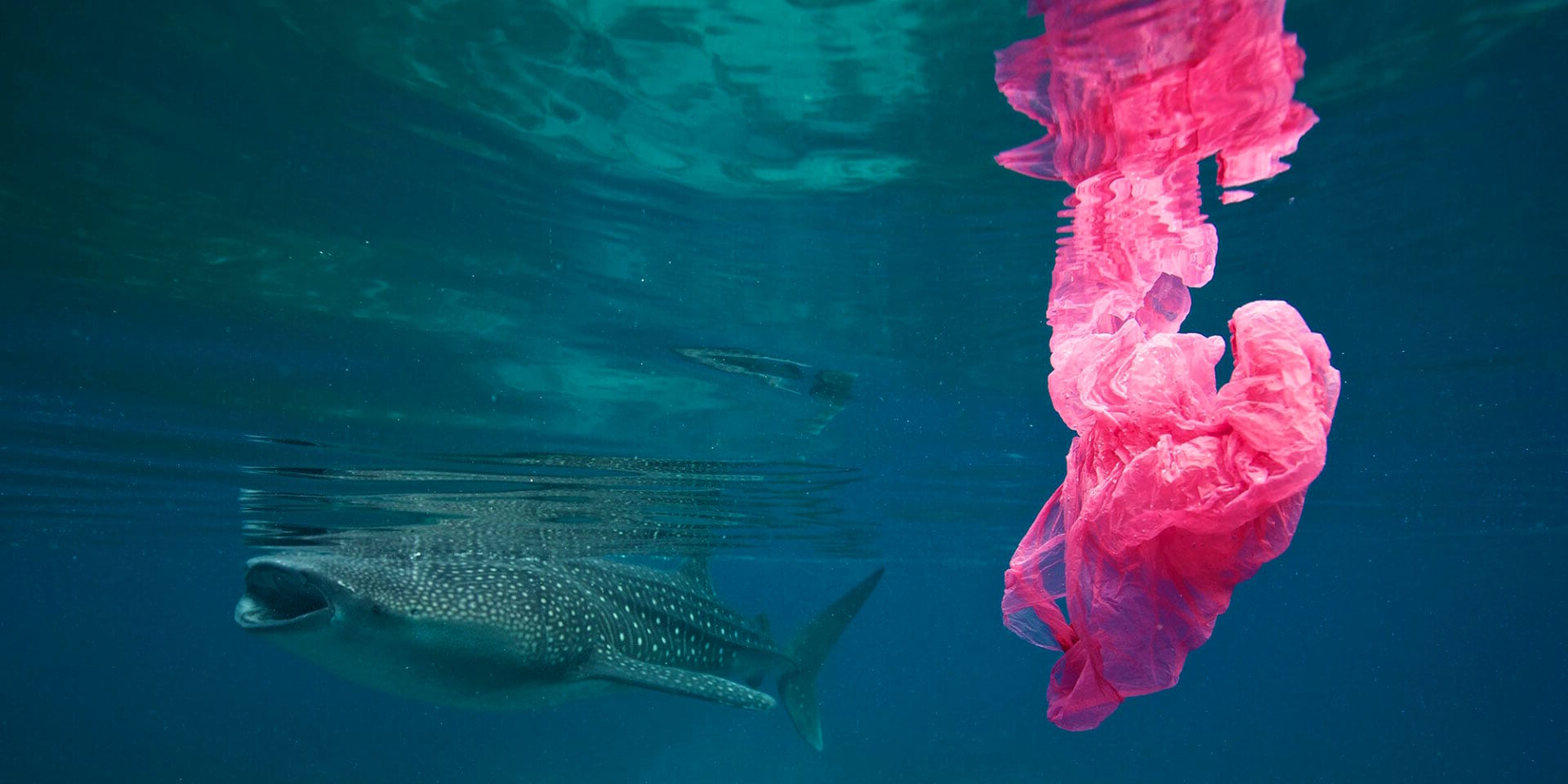Au-delà De L’emballage : Comment Les Grandes Marques De Produits De Beauté Réduisent Leur Empreinte Sur La Pollution Des Océans